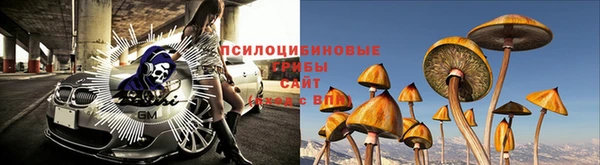 мяу мяу мука Аркадак