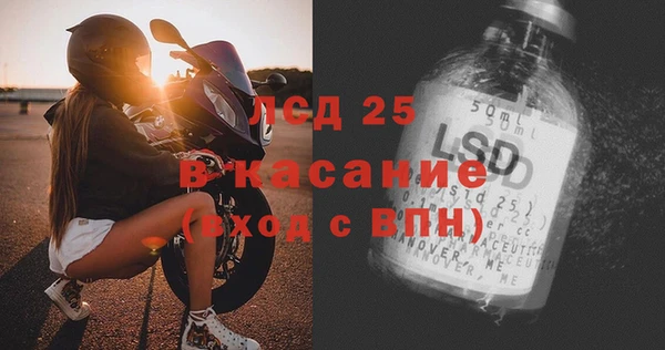 мяу мяу мука Аркадак